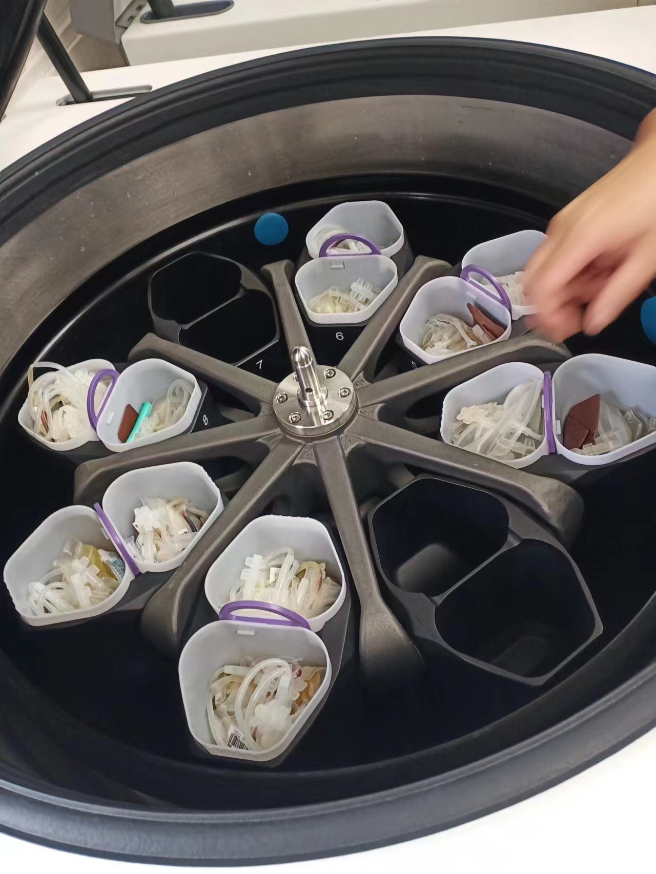 微信图片_20231211093551