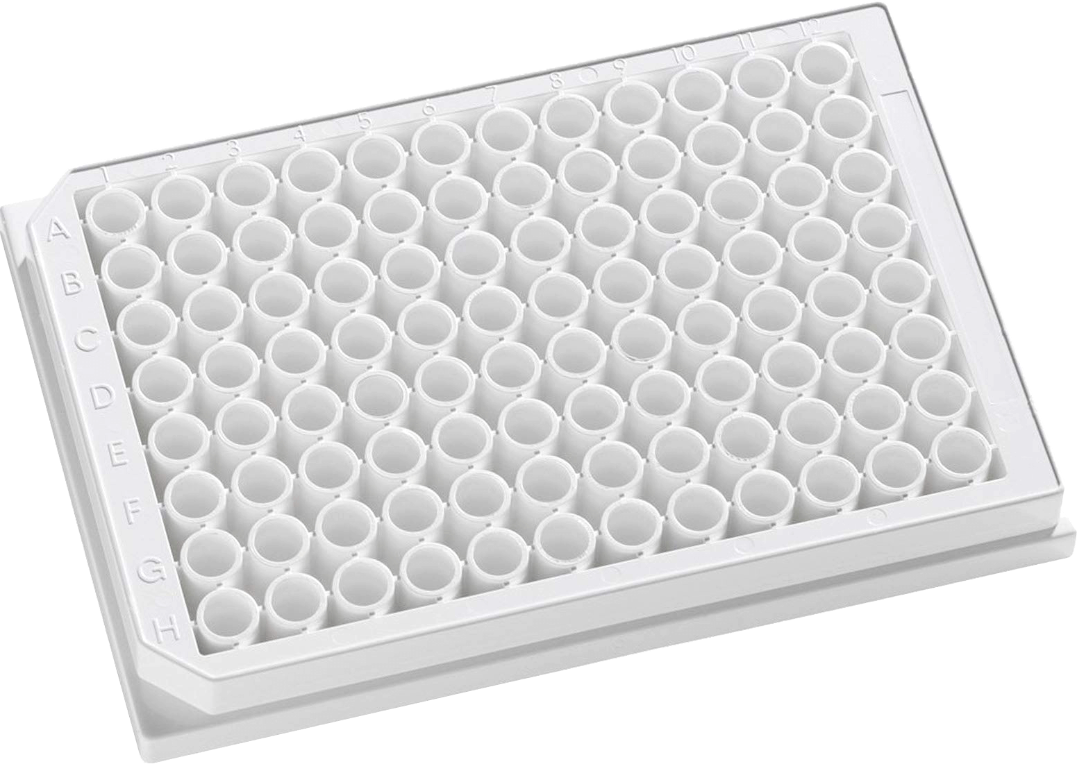 96 wells Plate.1