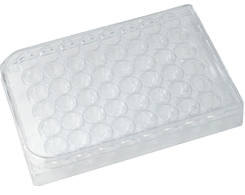 48-well plate