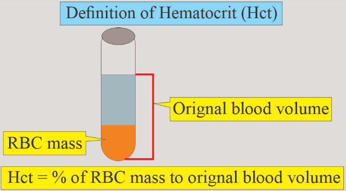Definition of Hematocrit